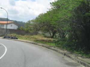 Frente