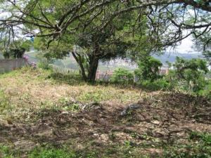 Terreno 2