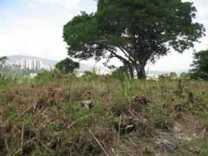 Terreno 3