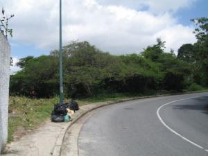 Terreno 4