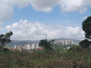 Vista 1