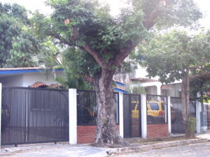 LISETH GONZALEZ Casa En Venta En Valencia - San Diego C&oacute;digo FLEX: 12-741