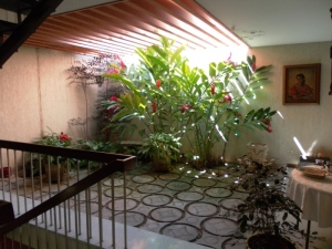 Jardin interno
