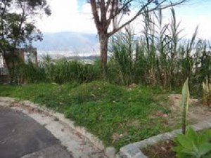 Parte frontal del terreno