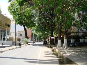 Calle