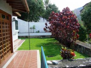 Jardin delantero