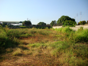 vista de frente