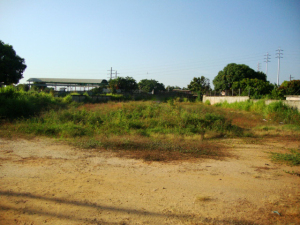 vista de frente 1