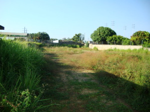 vista de frente 2