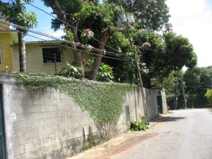 ANNA MARIA POLO Casa Venta Caracas Los Chorros FLEXMLS-12-961