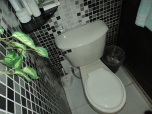 EILEEN CASTILLO Casa En Venta En Maracay - El Limon C&oacute;digo FLEX: 12-1137 No.9