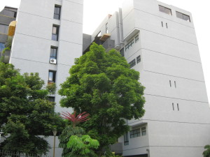 CARMEN ORTEGA Apartamento Venta Caracas Los Samanes FLEXMLS-12-1176