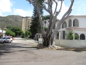 LISETH GONZALEZ Casa Venta Valencia Lomas del Este FLEXMLS-12-1206