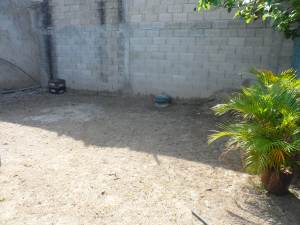 MARIA ALBA GIORDANO Casa En Venta En Guacara - Centro C&oacute;digo FLEX: 12-1212 No.7