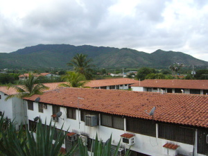 PEDRO ARNAL Apartamento Venta Municipio Antolin del Campo Paraguachi Aricagua FLEXMLS-12-1281