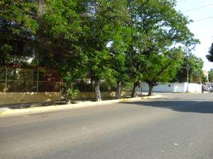 CAROLINA VILLALOBOS Local Comercial Alquiler Maracaibo Tierra Negra FLEXMLS-12-1035