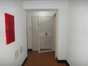 ARIADNA BOUQUETT MORENO Apartamento Venta Caracas Parque Carabobo FLEXMLS-12-1447