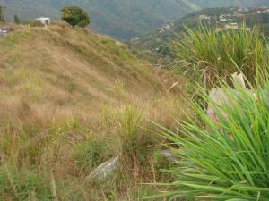 ARIADNA BOUQUETT MORENO Terreno  Venta Caracas El Hatillo FLEXMLS-12-1578
