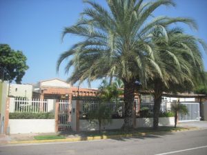 JUSMERI ESPINA Terreno  Venta Maracaibo Los Olivos FLEXMLS-12-1653