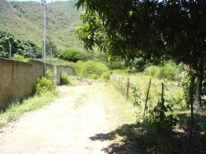 PEDRO ARNAL Terreno  Venta Municipio Arismendi La Asuncion Cocheima FLEXMLS-12-1704