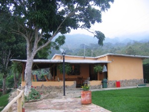 MARIA ALBA GIORDANO Terreno Residencial En Venta En Municipio Bejuma - Bejuma C&oacute;digo FLEX: 12-1841