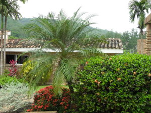 LISETH GONZALEZ Casa Venta Valencia Altos de Guataparo FLEXMLS-12-1944