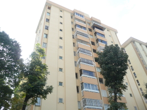 ARIADNA BOUQUETT MORENO Apartamento Venta Caracas Montalban II FLEXMLS-12-2039