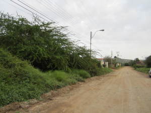 PEDRO ARNAL Terreno  Venta Municipio Arismendi La Asuncion Guacuco FLEXMLS-12-2117