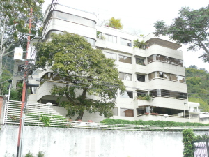CARLOS VICENTE GUERRA Apartamento Venta Caracas Los Palos Grandes FLEXMLS-12-2187