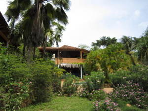 PEDRO ARNAL Casa Venta Municipio Antolin del Campo Paraguachi La Mira FLEXMLS-12-2198