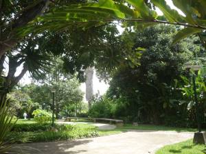 ARIADNA BOUQUETT MORENO Apartamento Venta Caracas Los Chorros FLEXMLS-11-2593