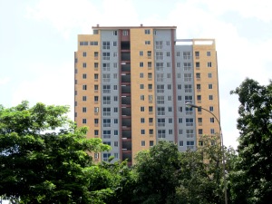 Zulay Elisa Gonzalez Manrique Apartamento Venta Valencia Kerdell FLEXMLS-11-7158