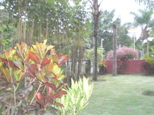 ARIADNA BOUQUETT MORENO Apartamento Venta Caracas Vizcaya FLEXMLS-12-2516