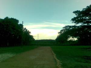 LISETH GONZALEZ Terreno  Venta Municipio Montalban La Segundera FLEXMLS-12-2584