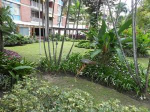 CARLOS VICENTE GUERRA Apartamento Venta Caracas Campo Alegre FLEXMLS-12-2685