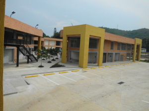 ALEXORA COBOS Local Comercial Alquiler Valencia San Diego FLEXMLS-12-2830