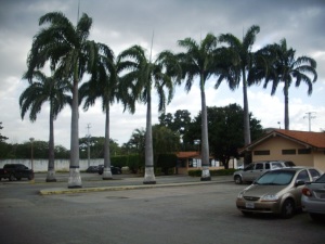 ROSA AQUINO Townhouse Venta Valencia Naguanagua FLEXMLS-12-3237
