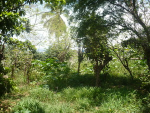 Venta - Terreno En Intercomunal Maracay-turmero - Intercomunal Turmero Maracayimage fachada RAH:12-3263