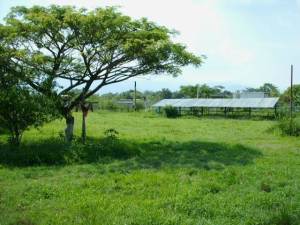 Venta - Terreno En Municipio Libertador - Hacienda el Naipeimage fachada RAH:12-3288