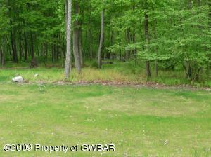 View of Backyard