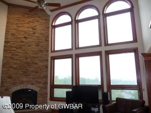Windows in Family Room