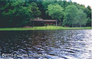 Subject viewed from Lake