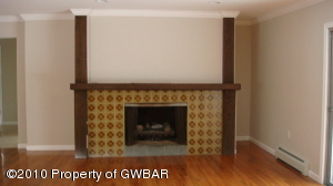 Living room fireplace