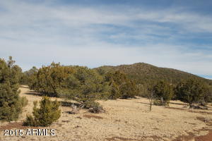 00 N Buck Ridge -- -, Williams, AZ