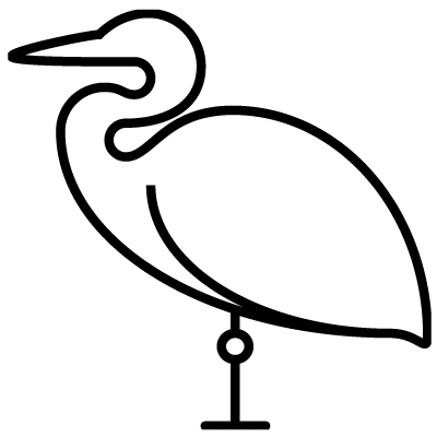 drawing of charleston bird